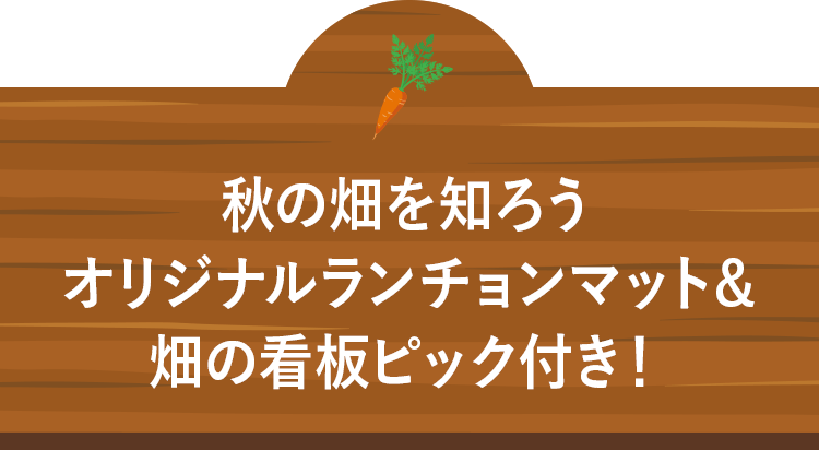 ミッキー様 野菜セット ミッキー＆ミニー／野菜たっぷりハンバーグ｜オイシックス公式