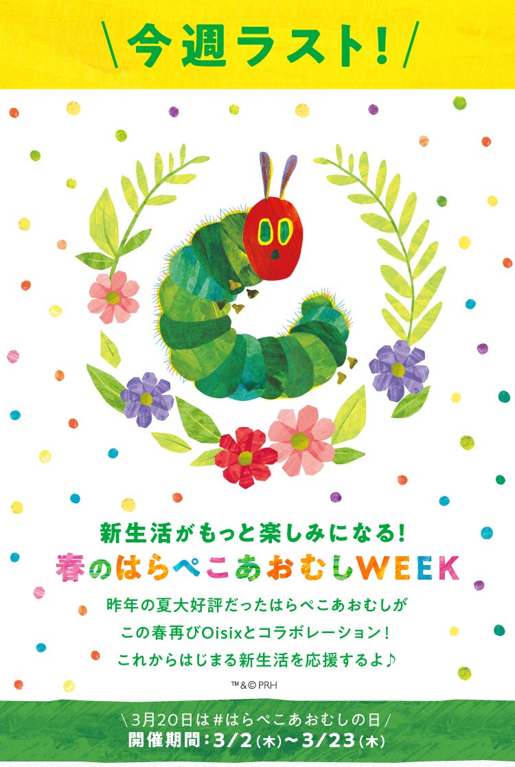 売れ筋介護用品も！ はらぺこあおむし