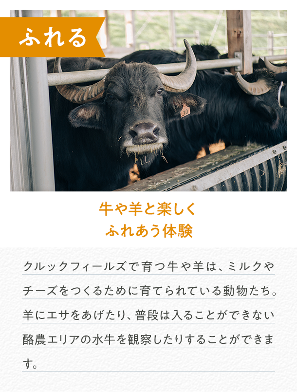 カルーセル画像1
