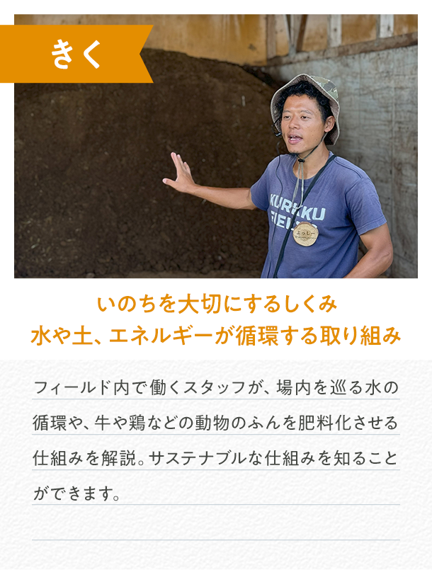 カルーセル画像2
