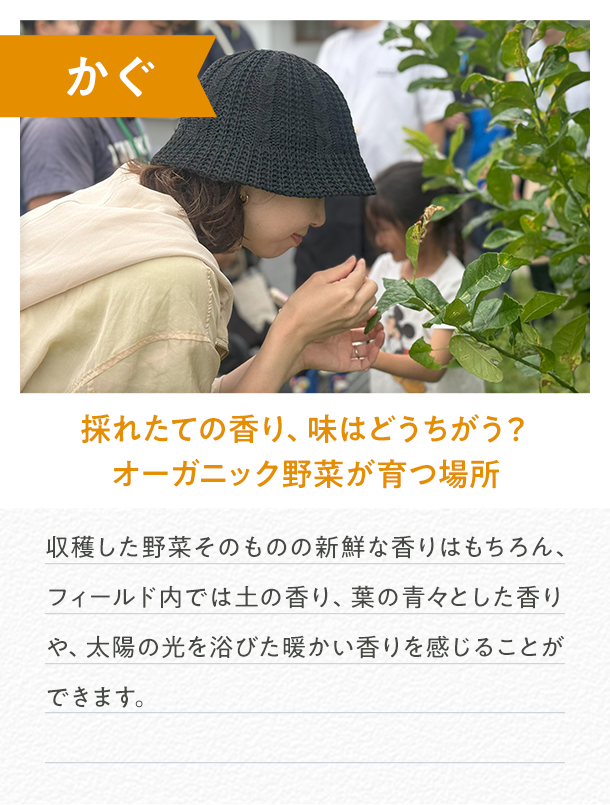 カルーセル画像5
