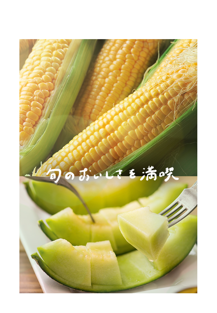 J[Z摜