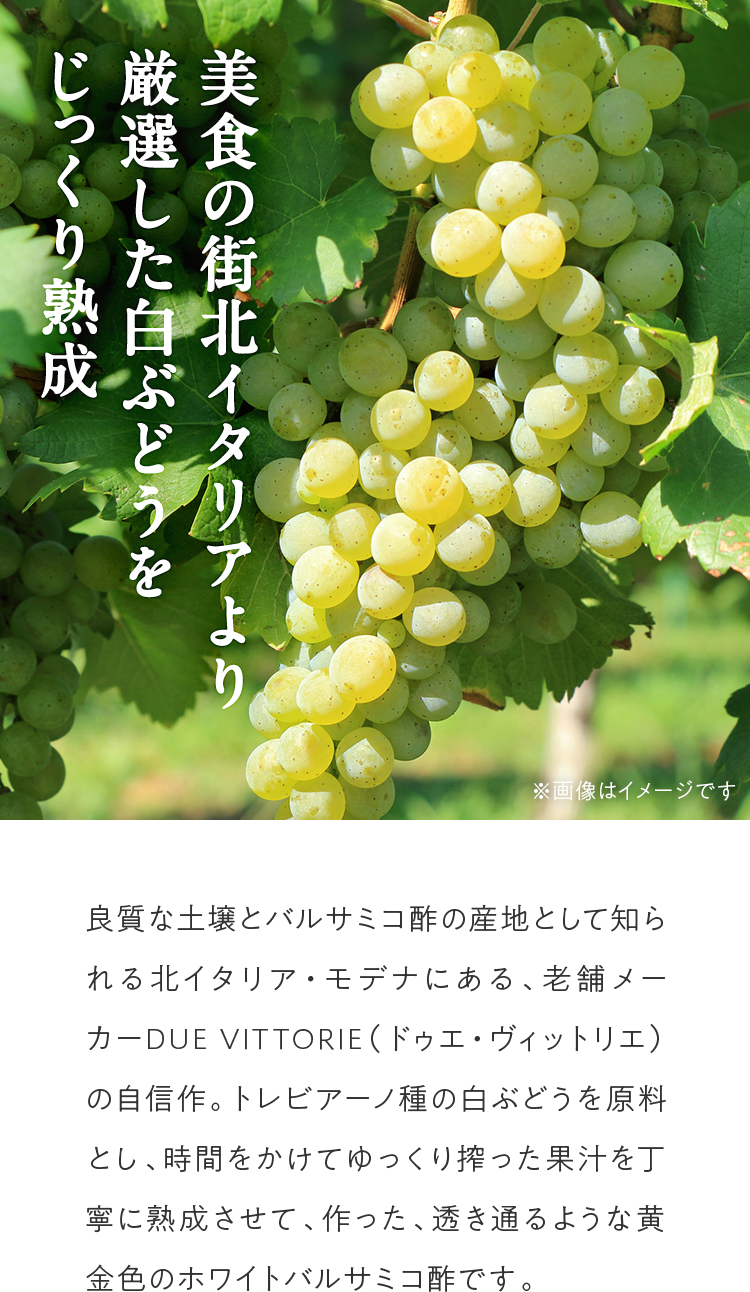 H̊XkC^A茵IԂǂn