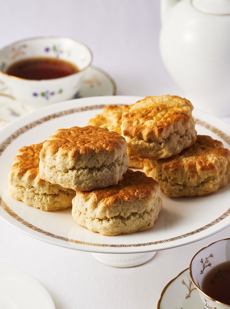 �X�R�[��TOP�摜