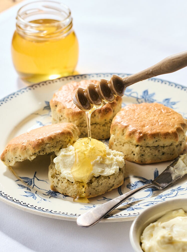 �X�R�[��TOP�摜