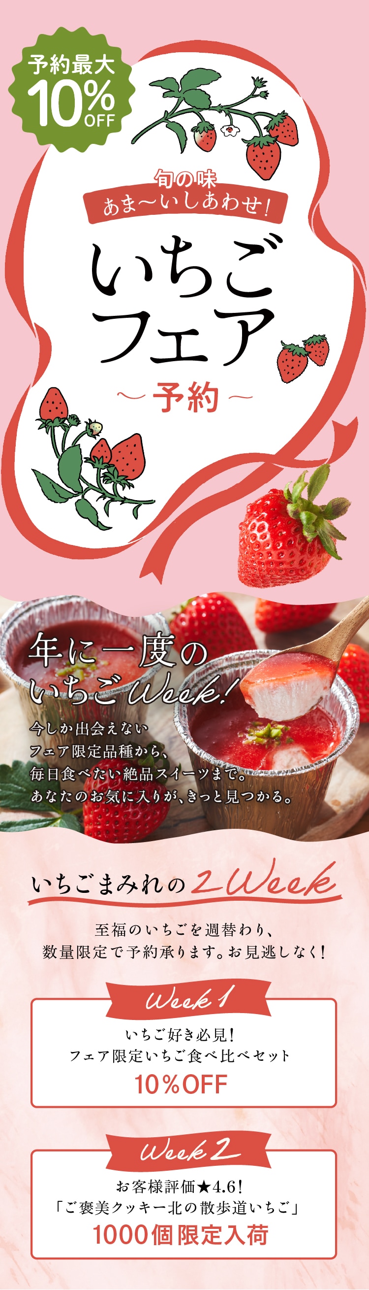 �������t�F�A�\��