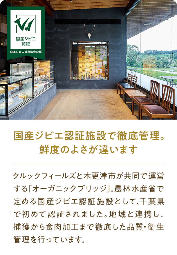 �J���[�Z���摜3