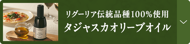 �G�L�X�g���o�[�W���I�C��