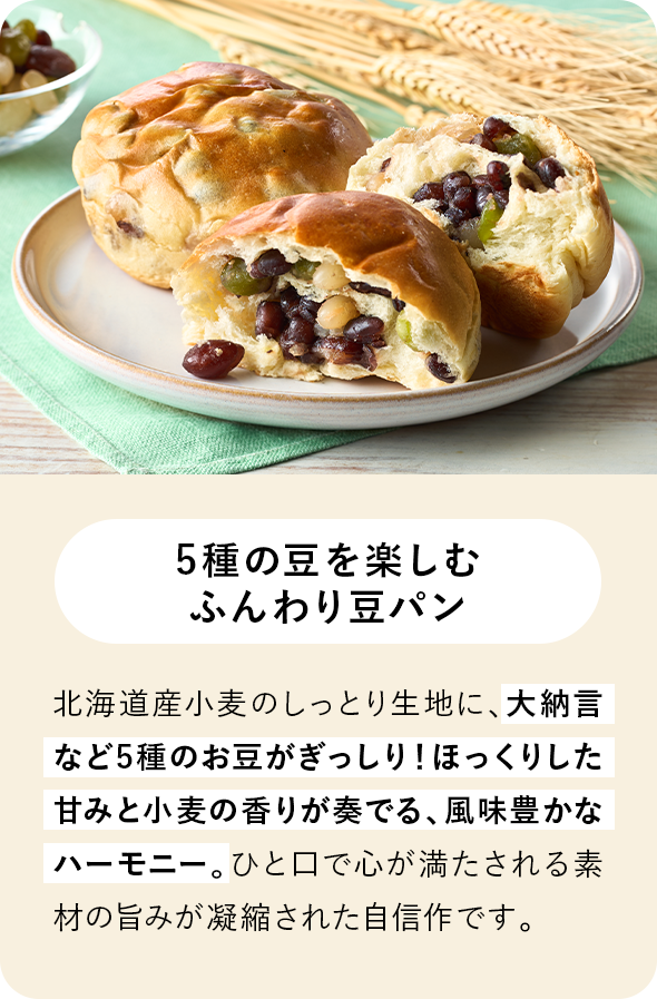 �[�x01�i���p���j