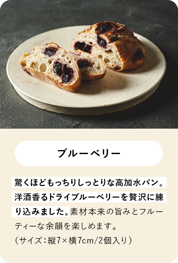 �[�x02�i�u���[�x���[�j