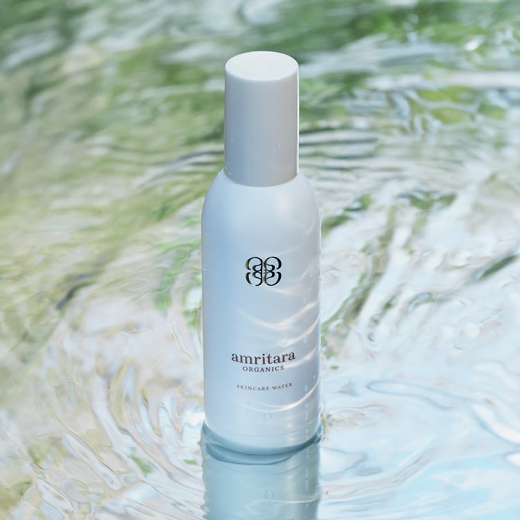 ���ێ��Ƃ�݉��ϐ�