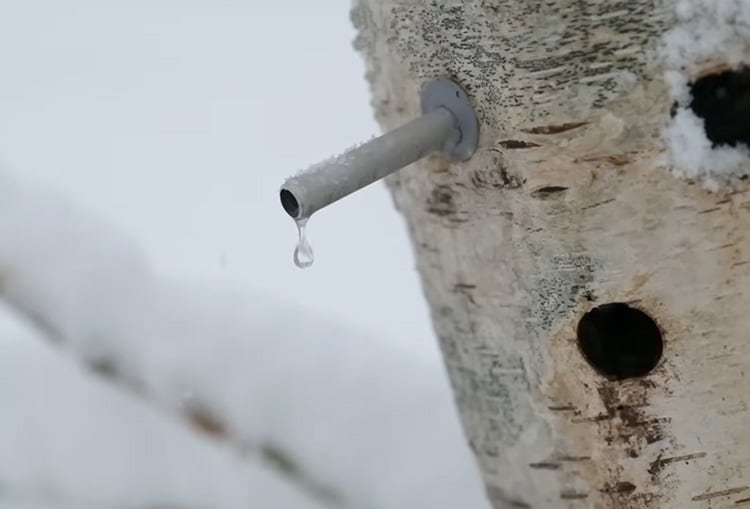 ���ϐ��[�x