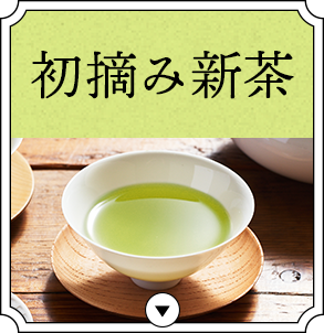 �i�r01�i���E�ݐV���j