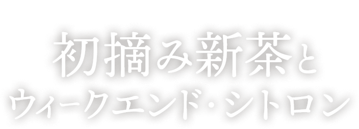 �E�B�[�N�G���h�E�V�g����