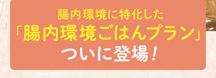 ���������͂�v�����o��