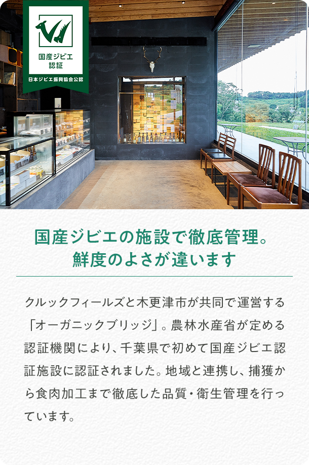カルーセル画像3