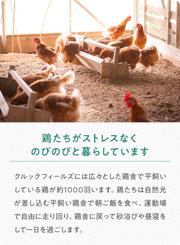 たまご