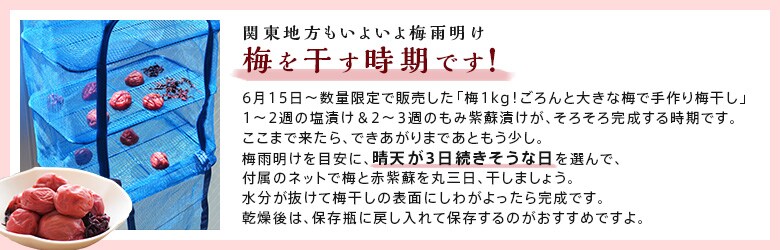 梅干し