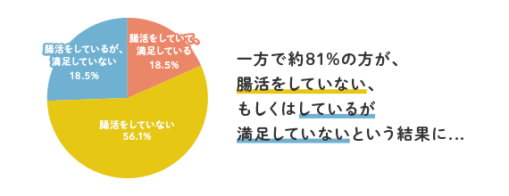 腸内環境ごはんKit アンケート