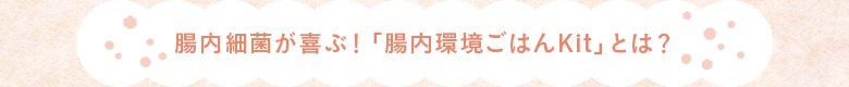 腸内環境ごはんKitとは