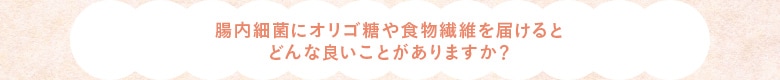 腸内環境ごはんKit コメント
