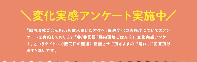 腸内環境Kit
