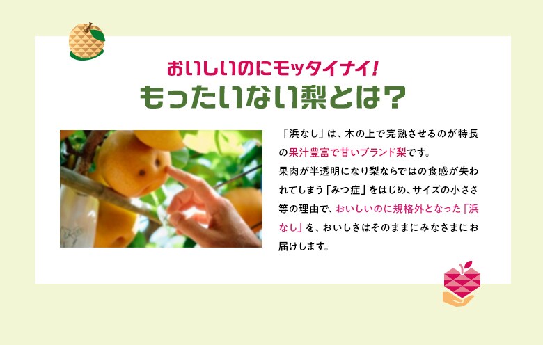 [Kit]lȂ\[XIBBQ`L
