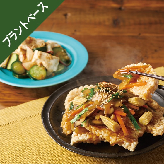 Kit2人前／[PlantOisix] あんかけ中華おこげ|有機野菜 通販 Oisix