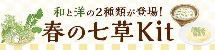 �t�̎���Kit