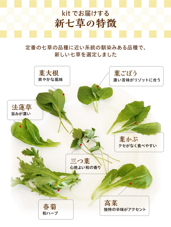 Kit2�l�O�^���炩�ȗt�̐V�����Ɛ��n���̃��]�b�g