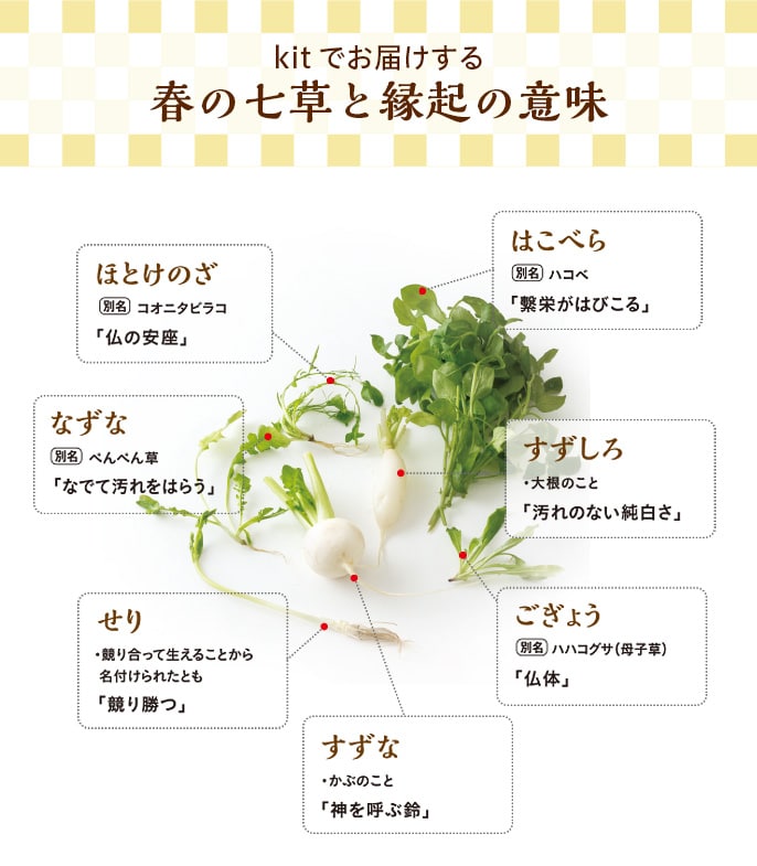 [Kit]�P�N�̌��N���F��I���˓��莵����