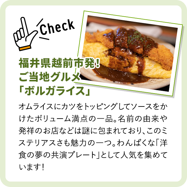 Kit2�l�O�^���䔭�I�f�~�`�L���t���C�̃{���K���C�X��