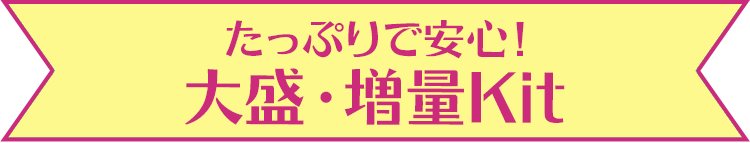 �ʂň��S �吷�E����Kit