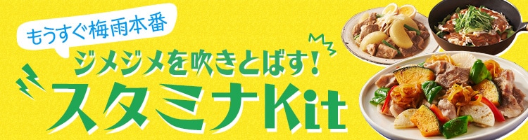 �X�^�~�iKit