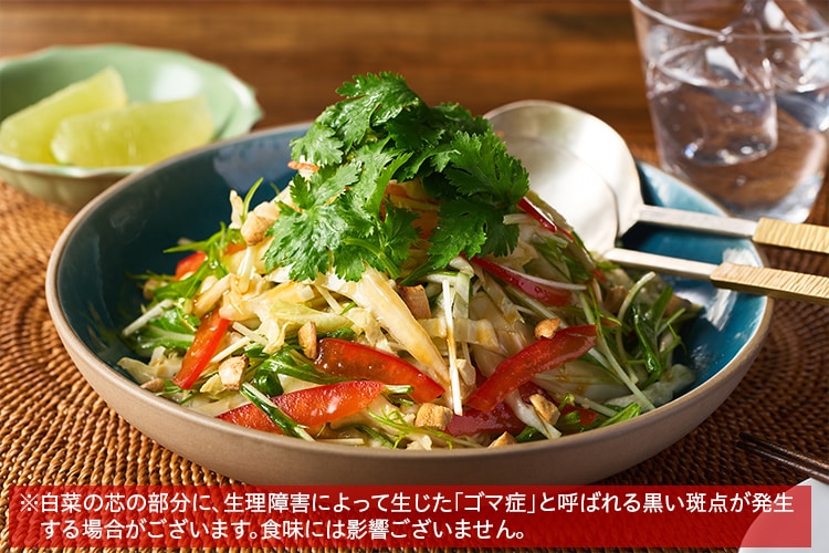 【4点セット】ハダメキミライ ファンデ＆スキンヴィーナス クリーム 各2個 4点セット】ハダメキミライ ファンデ＆スキンヴィーナス