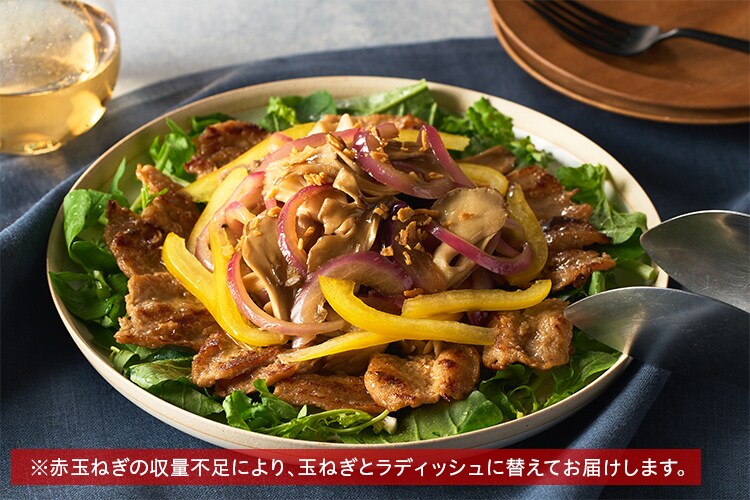 野菜サラダさん専用★電気バリブラシ4点セット 野菜サラダさん専用☆電気バリブラシ4点セット