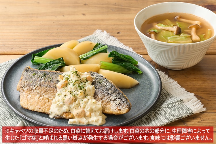 Kit2人前／こんがりさば竜田のあおさタルタル添え|有機野菜 通販