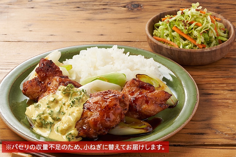 Kit2人前／【超ラク】チキンのカレータルタル南蛮|有機野菜 通販