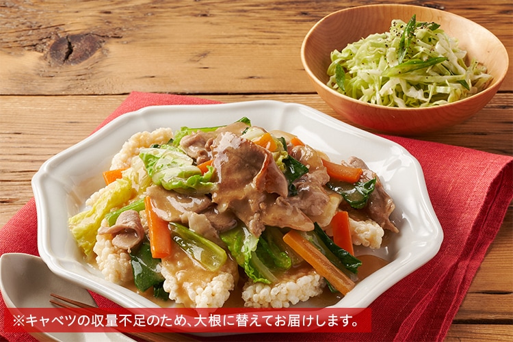 Kit2人前／【超ラク】豚の中華あんかけおこげ|有機野菜 通販 Oisix