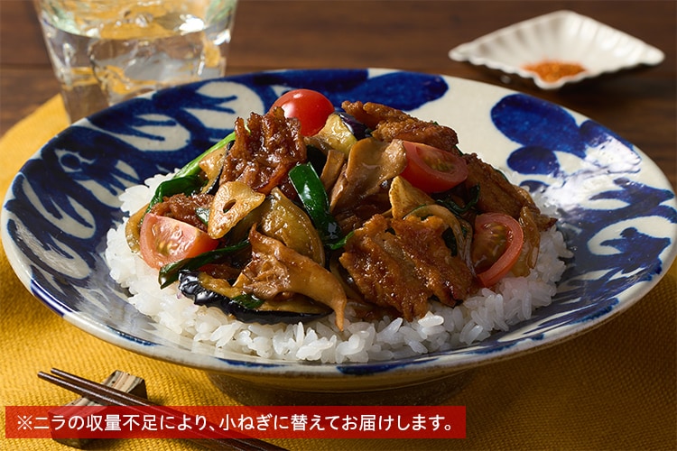 Kit2人前／[PlantOisix]6種野菜のスタミナ丼|有機野菜 通販