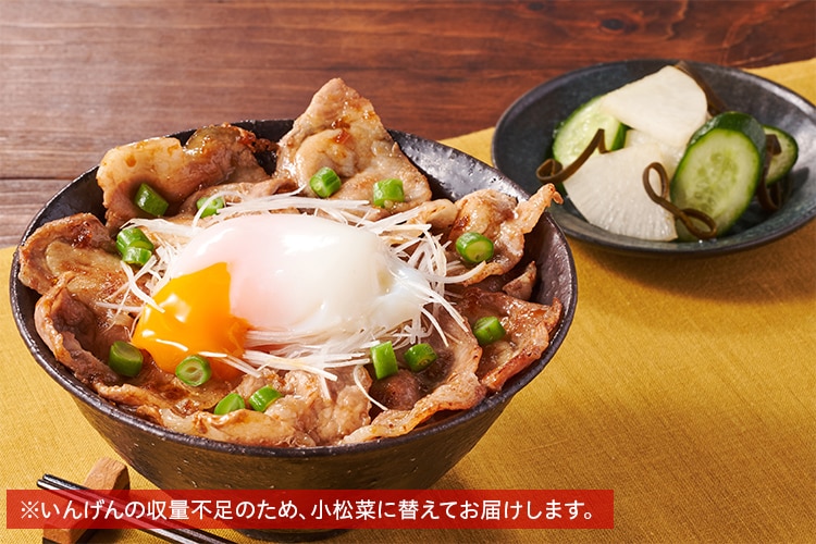 Kit2人前／とろーり温玉のせ、帯広豚丼風|有機野菜 通販
