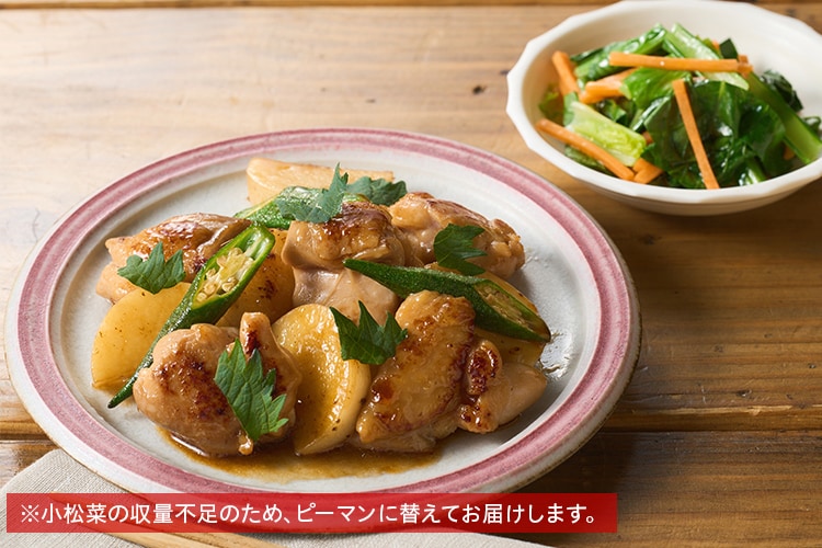 KitOisix2人前 | 有機野菜 通販 Oisix(おいしっくす)