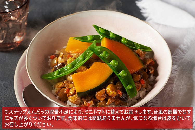 Kit2lO^[PlantOisix]1/2؃hCJ[