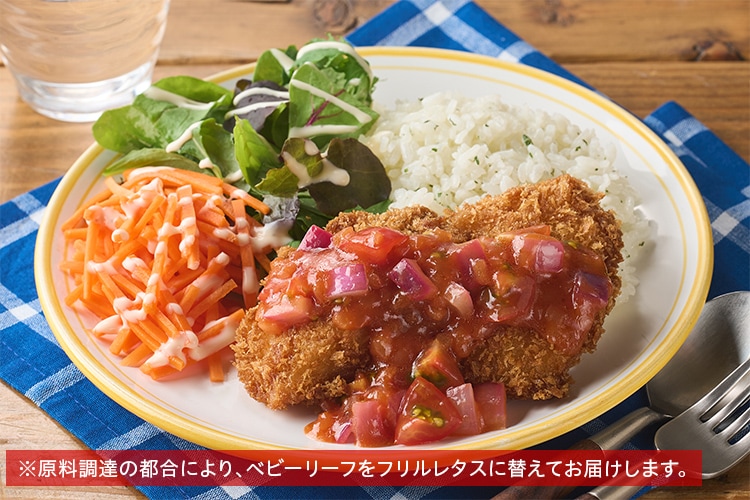 Kit2人前／【超ラク】白身フライのコク旨トマトサルサ|有機野菜 通販