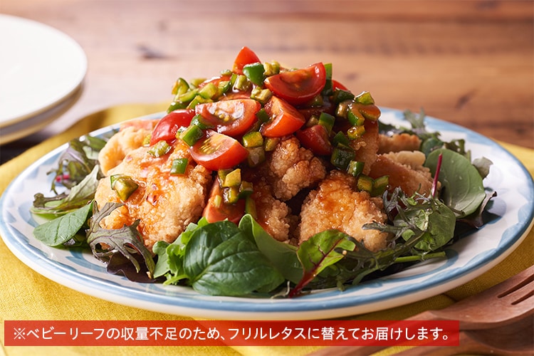 [Kit]�`�L���t���C�̃T���T��