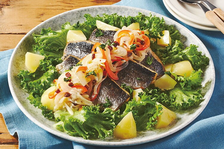 [Kit]�n���C���I�j�V���̃G�X�J�x�b�V���T���_