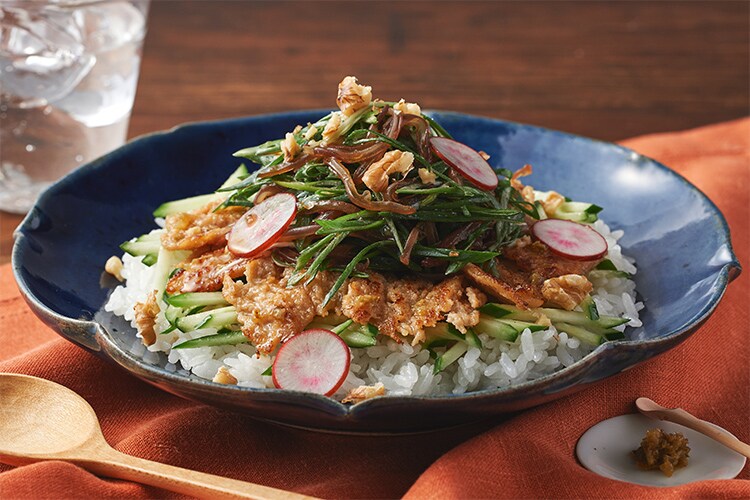 Kit2�l�O�^[PlantOisix]����˂��Ƃ����炰�a�T���_��