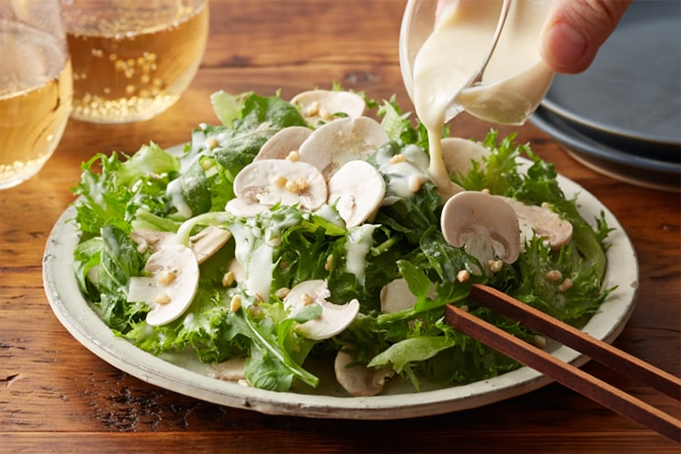 Kit2�l�O�^[PlantOisix]�����X�V�[�U�[�T���_