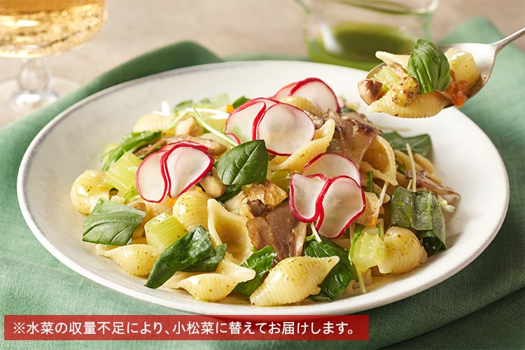 Kit2人前／[PlantOisix]ジェノベーゼの貝殻パスタ|有機野菜 通販 Oisix
