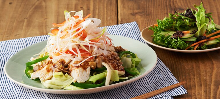 Sora 　プレミアム酵素漬け 食事セット Kit3人前／ごはんがすすむ！鶏の甘味噌香味だれ|有機野菜 通販
